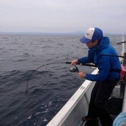 幕島丸 釣果