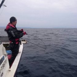 幕島丸 釣果