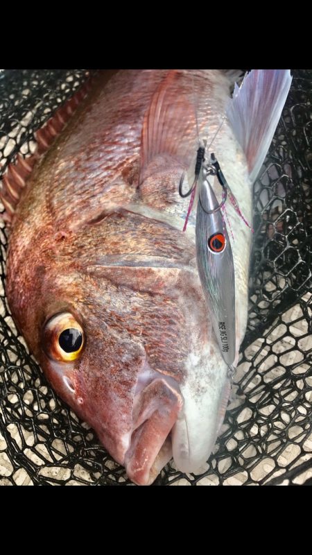 龍神丸(鹿児島) 釣果