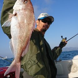 遊漁船 家入 釣果