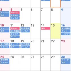 遊漁船 家入 釣果