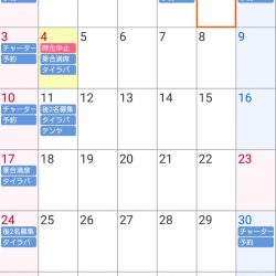 遊漁船 家入 釣果