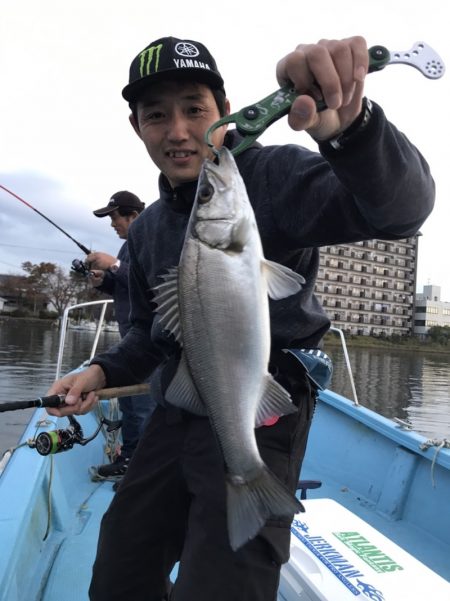 アマテラス 釣果