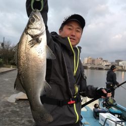 アマテラス 釣果