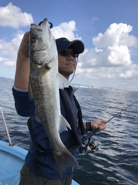 アマテラス 釣果