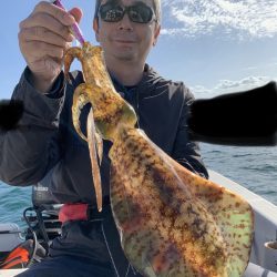 きずなまりん 釣果