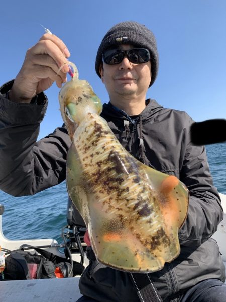 きずなまりん 釣果