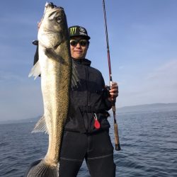 アマテラス 釣果