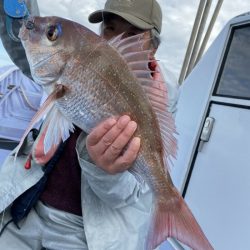 新幸丸 釣果