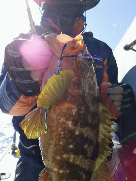 光生丸 釣果