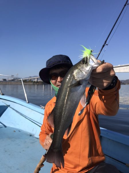 アマテラス 釣果