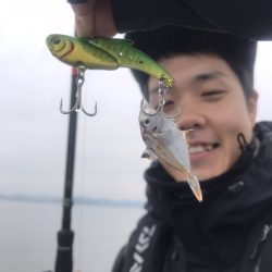 アマテラス 釣果