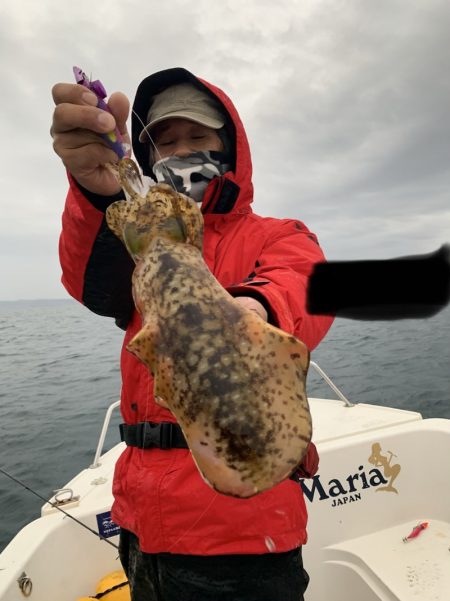 きずなまりん 釣果