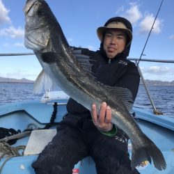 アマテラス 釣果