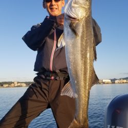 アマテラス 釣果