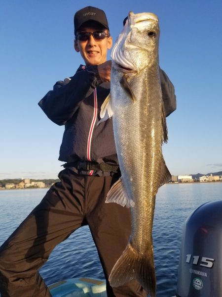 アマテラス 釣果