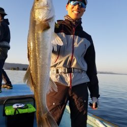 アマテラス 釣果