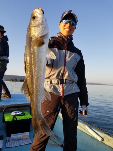 アマテラス 釣果