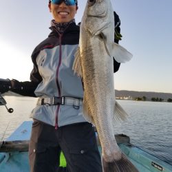 アマテラス 釣果