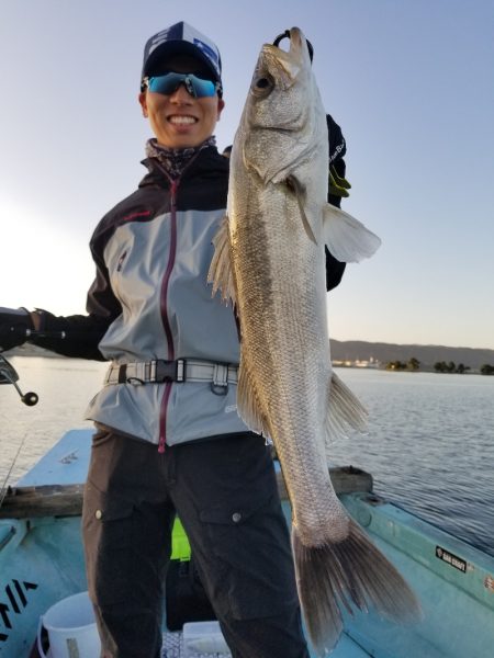 アマテラス 釣果