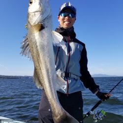 アマテラス 釣果