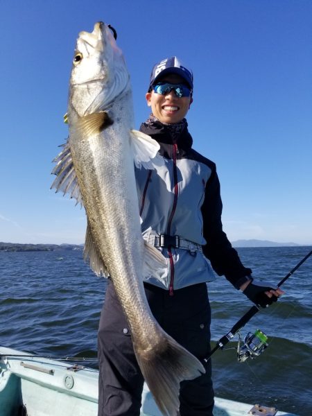 アマテラス 釣果