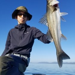 アマテラス 釣果