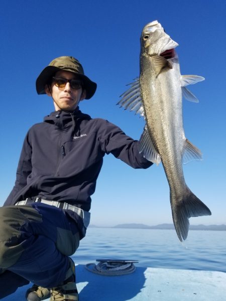 アマテラス 釣果