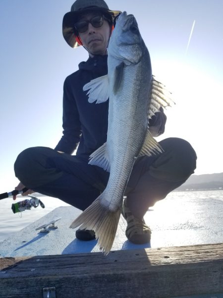 アマテラス 釣果