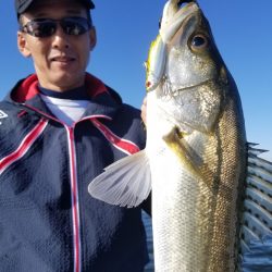 アマテラス 釣果