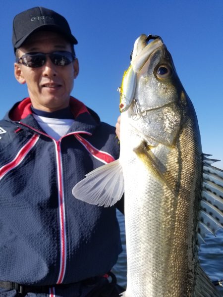 アマテラス 釣果