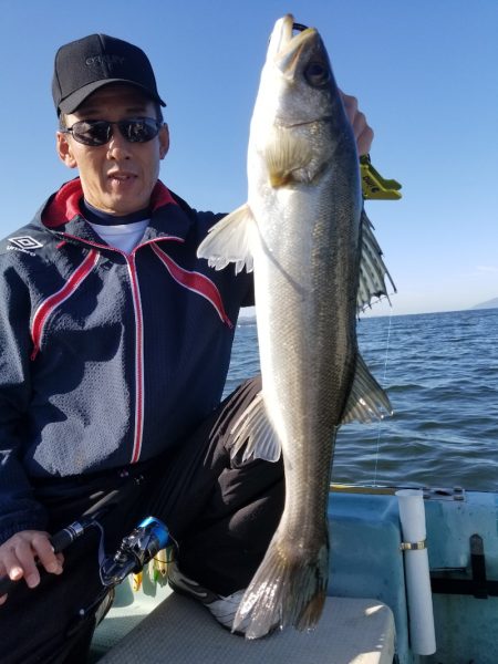 アマテラス 釣果