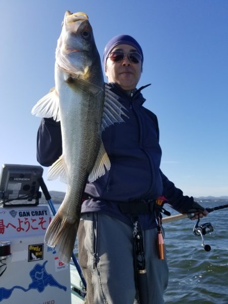 アマテラス 釣果