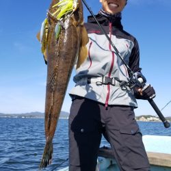 アマテラス 釣果