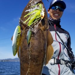 アマテラス 釣果