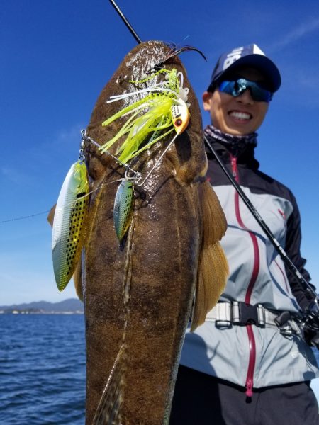 アマテラス 釣果