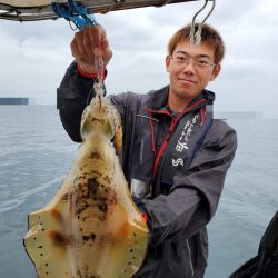 ソルトウォーターガイドフレンズ 釣果