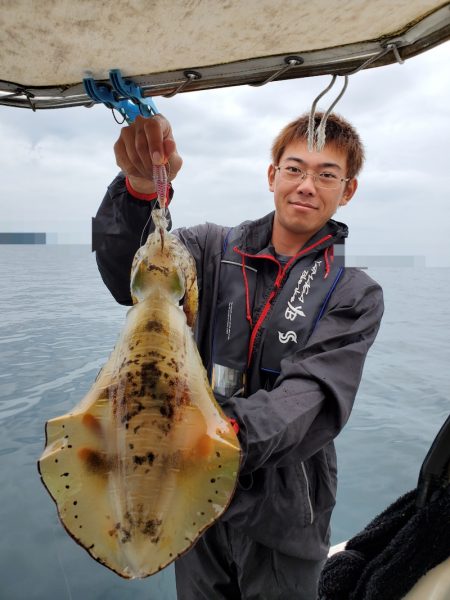 ソルトウォーターガイドフレンズ 釣果