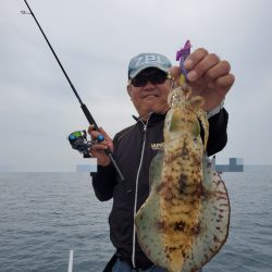 ソルトウォーターガイドフレンズ 釣果