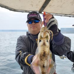 ソルトウォーターガイドフレンズ 釣果