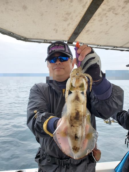 ソルトウォーターガイドフレンズ 釣果