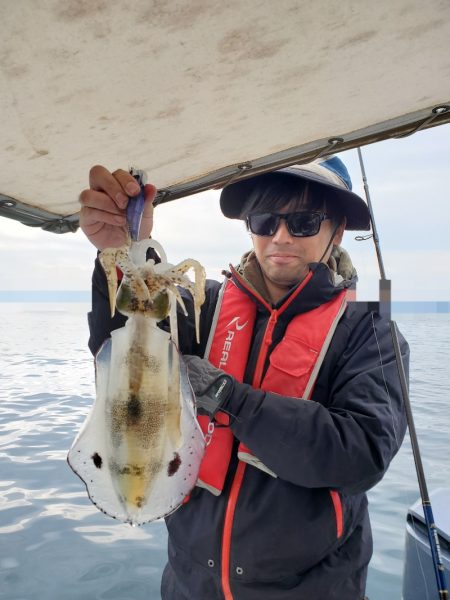 ソルトウォーターガイドフレンズ 釣果