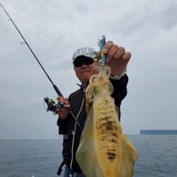 ソルトウォーターガイドフレンズ 釣果