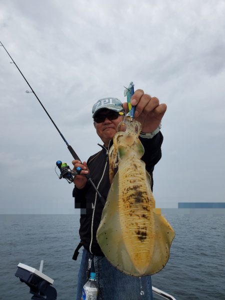 ソルトウォーターガイドフレンズ 釣果