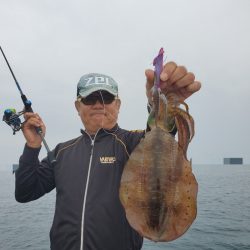 ソルトウォーターガイドフレンズ 釣果