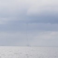 アマテラス 釣果