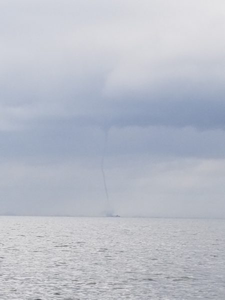 アマテラス 釣果