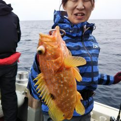 光生丸 釣果