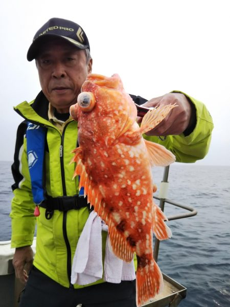 光生丸 釣果