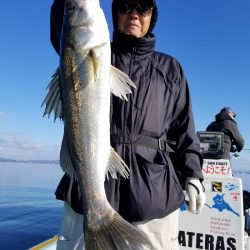 アマテラス 釣果